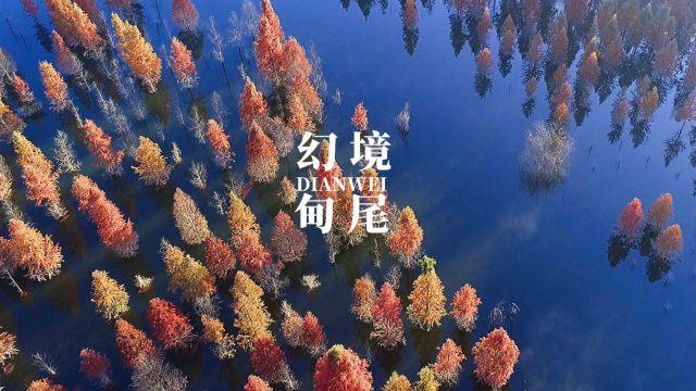 探秘吉鹿力问答社区,解锁女朋友分手了 说看到我就恶心 是一种什么心理?带来的无限可能!