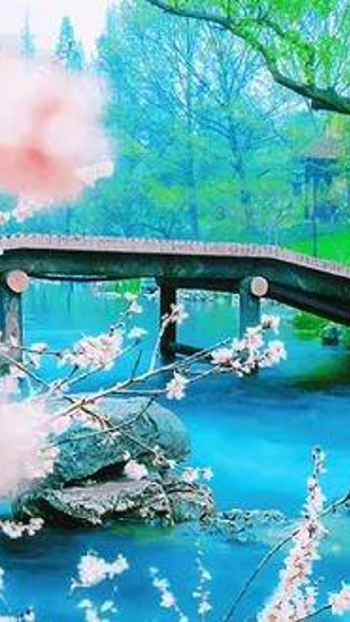 注射“胶原蛋白”后她“烂脸”了……为何美容竟变“毁容”?